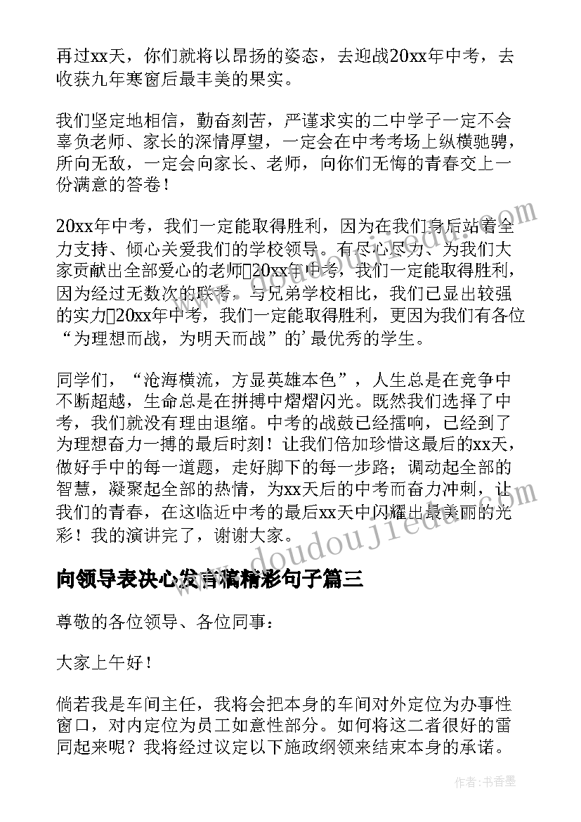 向领导表决心发言稿精彩句子(优质8篇)