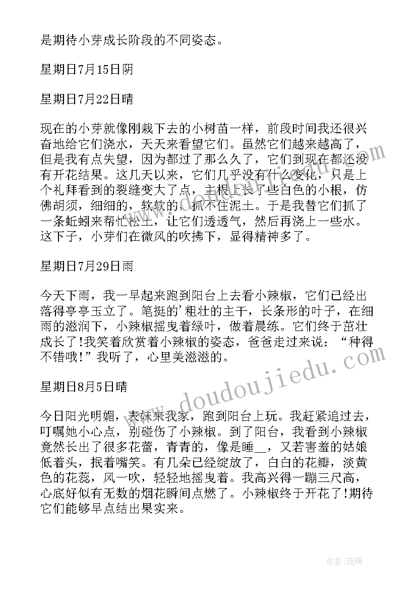 最新红豆观察日记四百字(精选8篇)