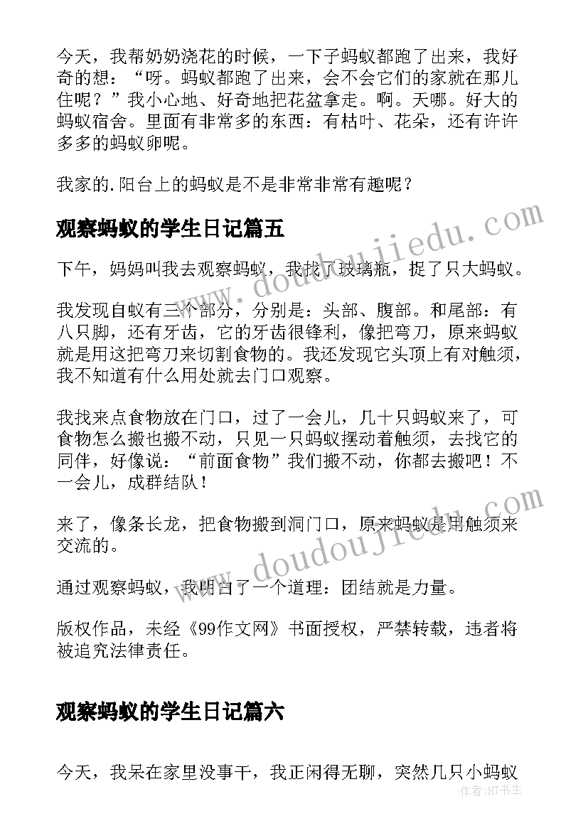 最新观察蚂蚁的学生日记(汇总10篇)