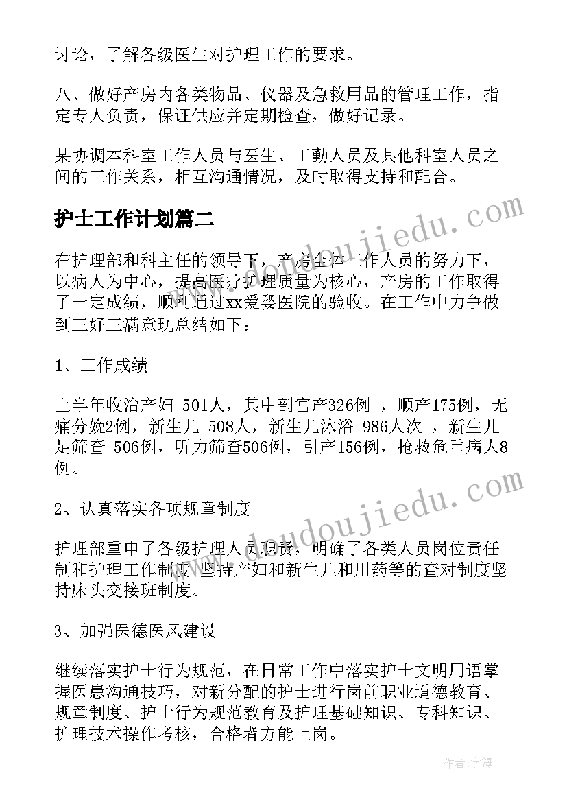 护士工作计划(实用8篇)