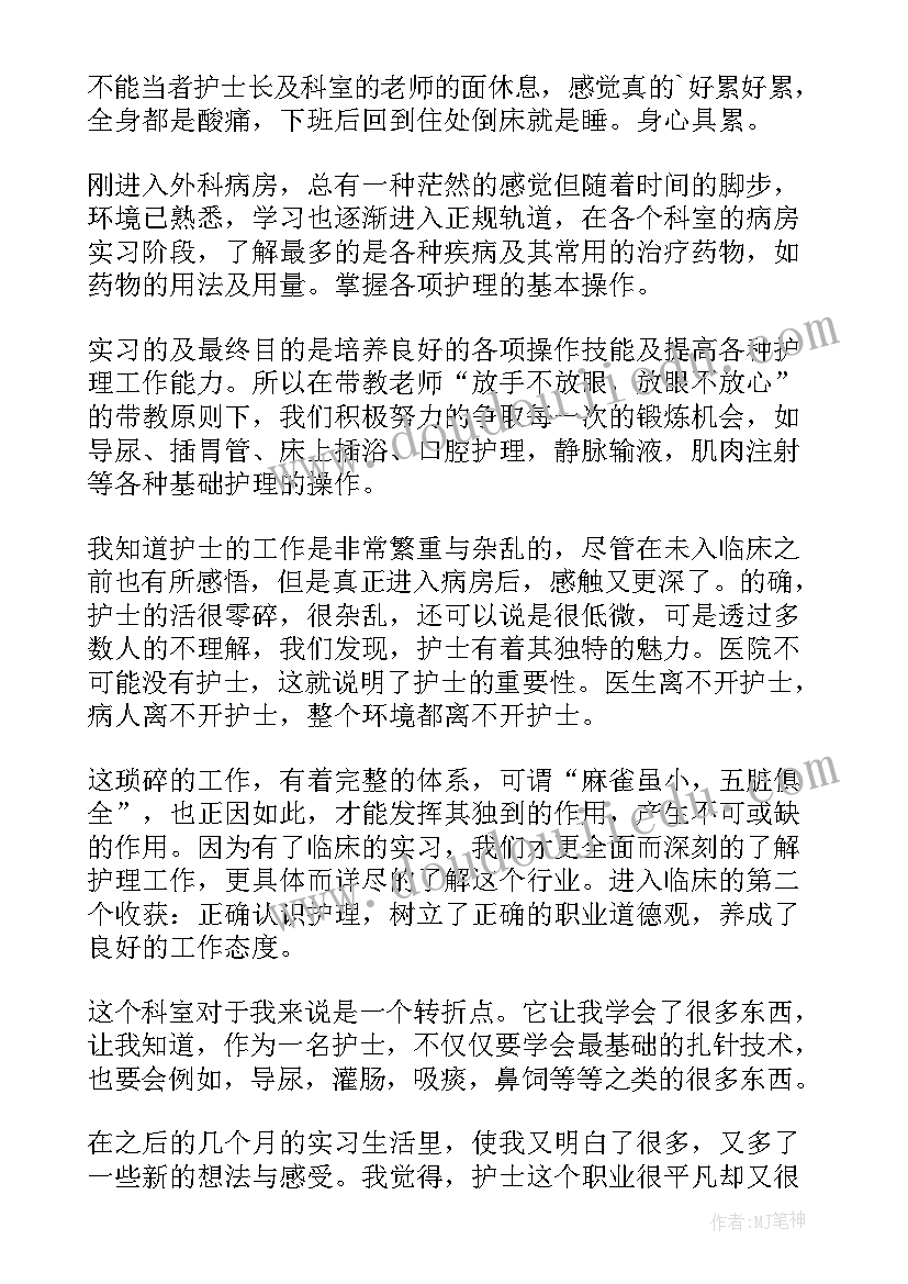 2023年护士的工作总结(大全16篇)