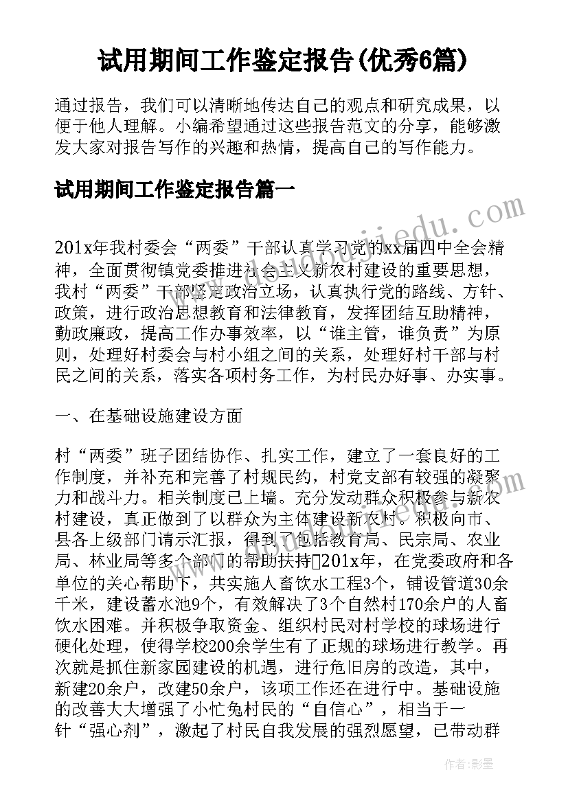 试用期间工作鉴定报告(优秀6篇)