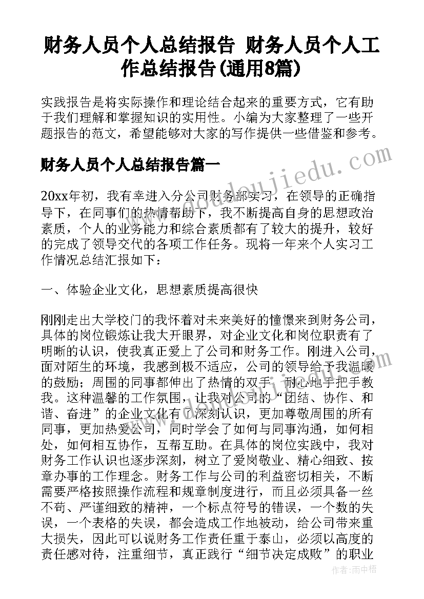 财务人员个人总结报告 财务人员个人工作总结报告(通用8篇)