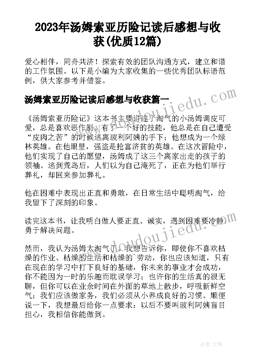 2023年汤姆索亚历险记读后感想与收获(优质12篇)