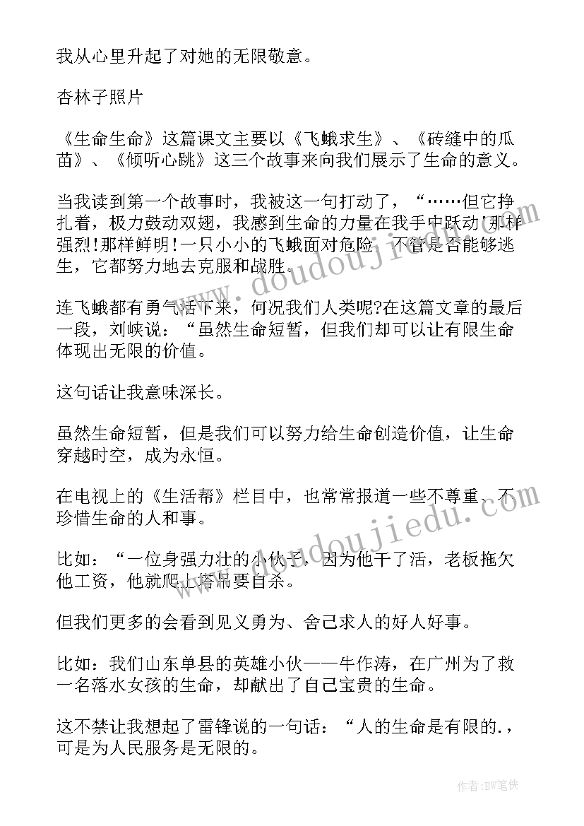 2023年生命桥读后感 生命生命读后感(实用16篇)