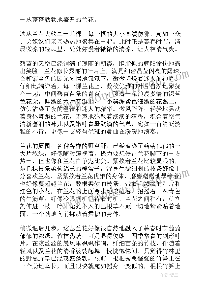 最新三角梅散文阅读答案(优秀8篇)