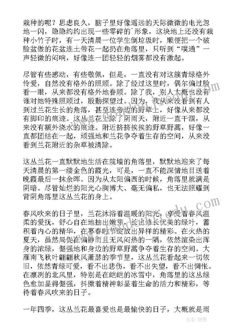 最新三角梅散文阅读答案(优秀8篇)