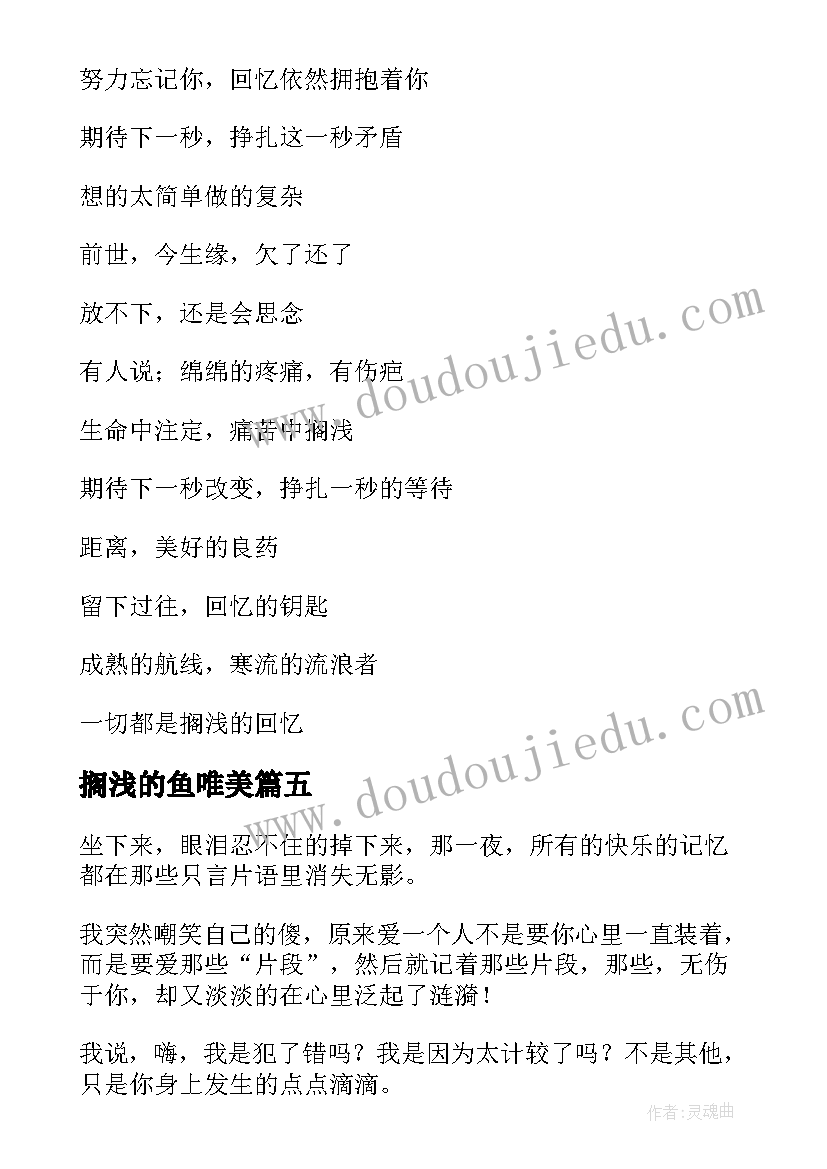 搁浅的鱼唯美 流光终把我们搁浅的散文(汇总8篇)