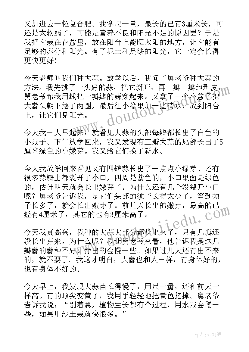 2023年大蒜发芽的观察日记 大蒜发芽观察日记五则(通用10篇)