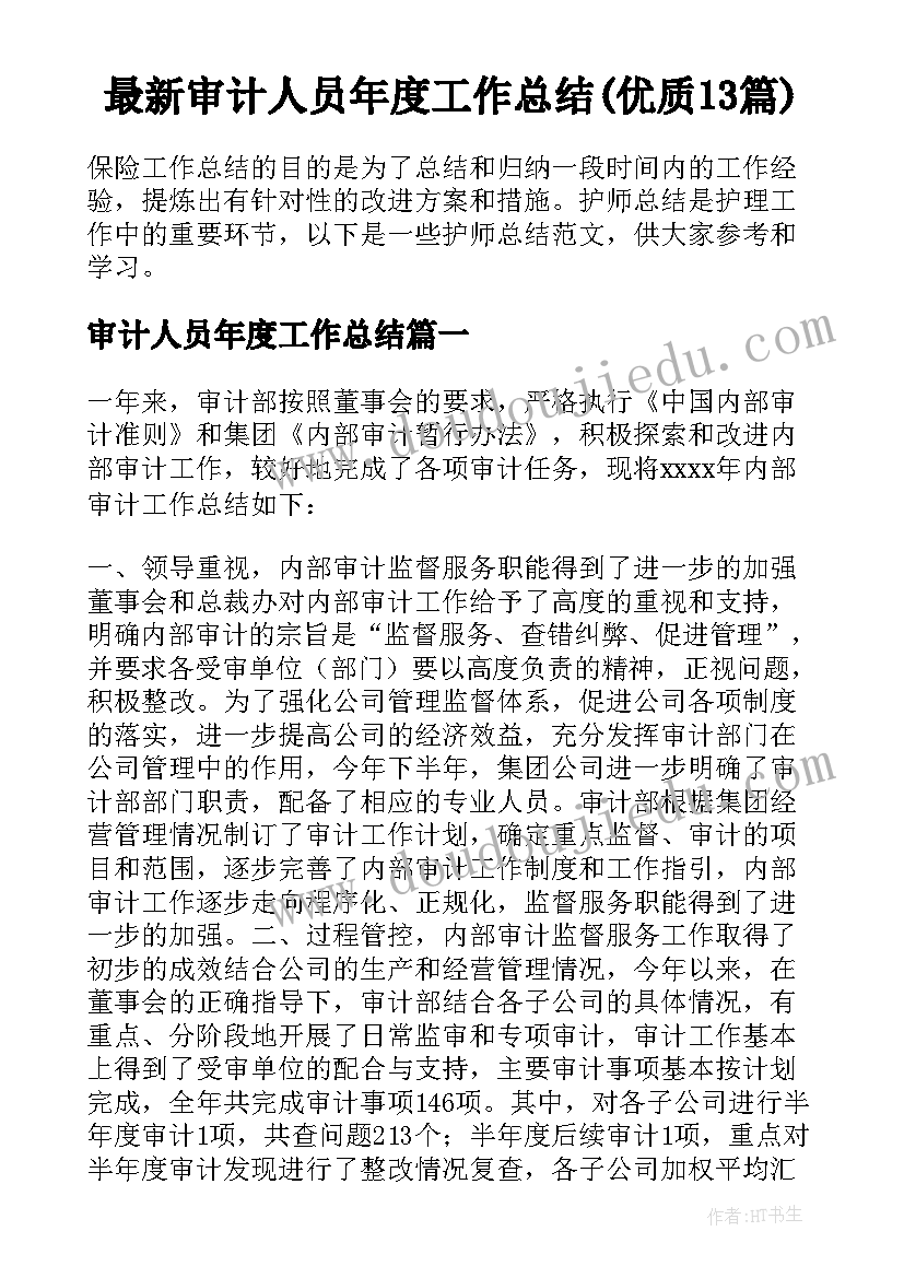 最新审计人员年度工作总结(优质13篇)