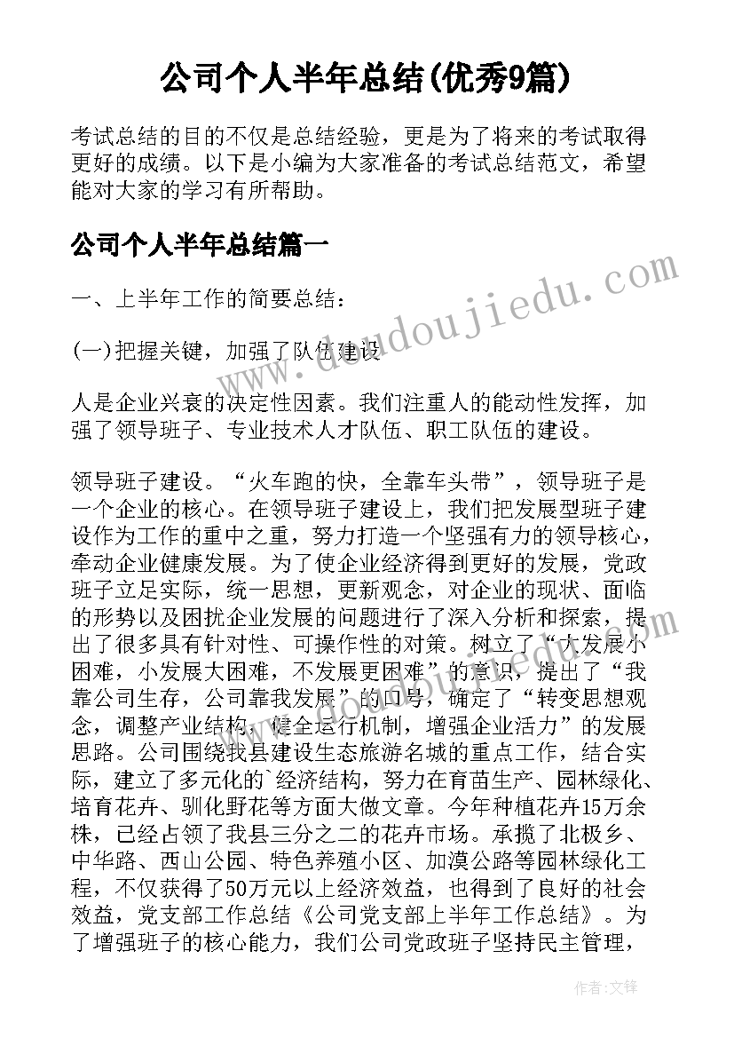 公司个人半年总结(优秀9篇)