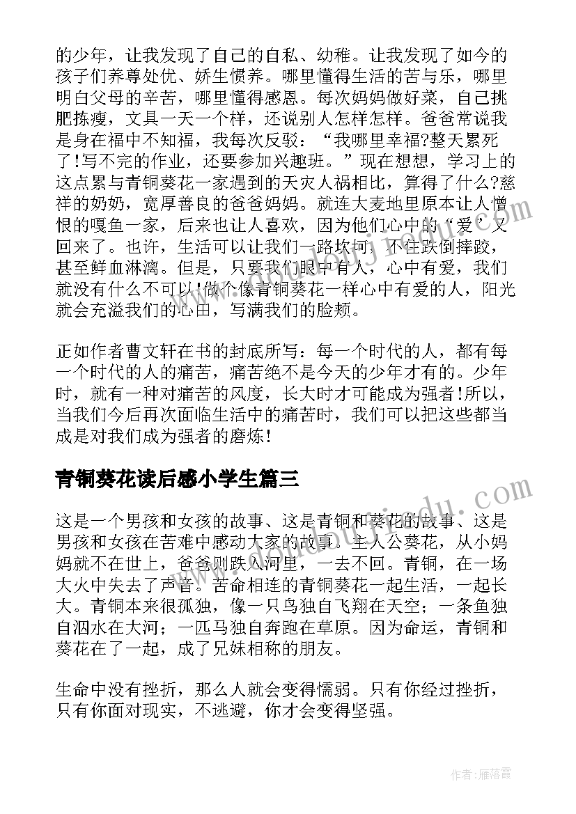 2023年青铜葵花读后感小学生 青铜葵花读后感小学生读后感(优质13篇)