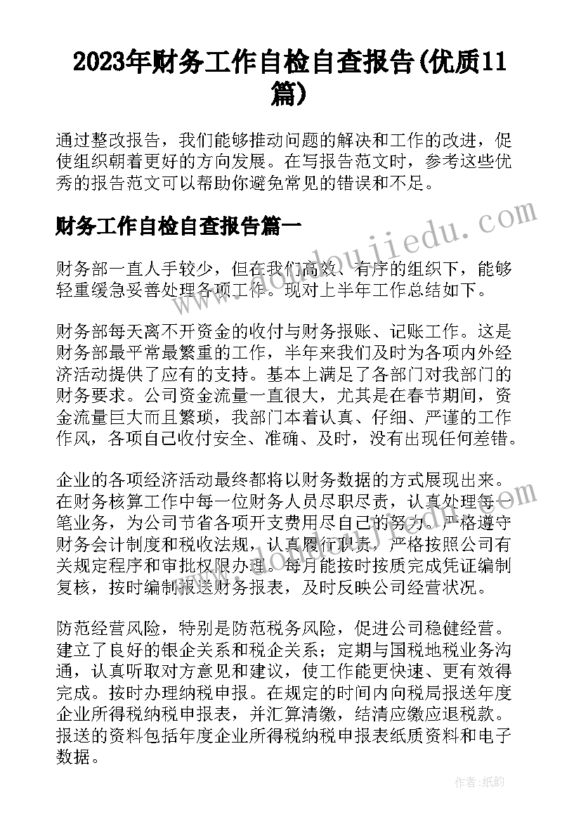 2023年财务工作自检自查报告(优质11篇)