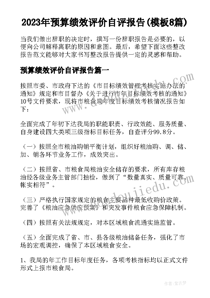 2023年预算绩效评价自评报告(模板8篇)