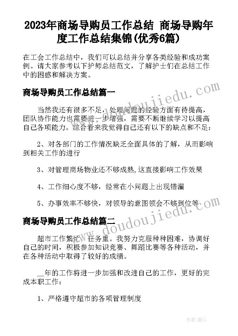 2023年商场导购员工作总结 商场导购年度工作总结集锦(优秀6篇)