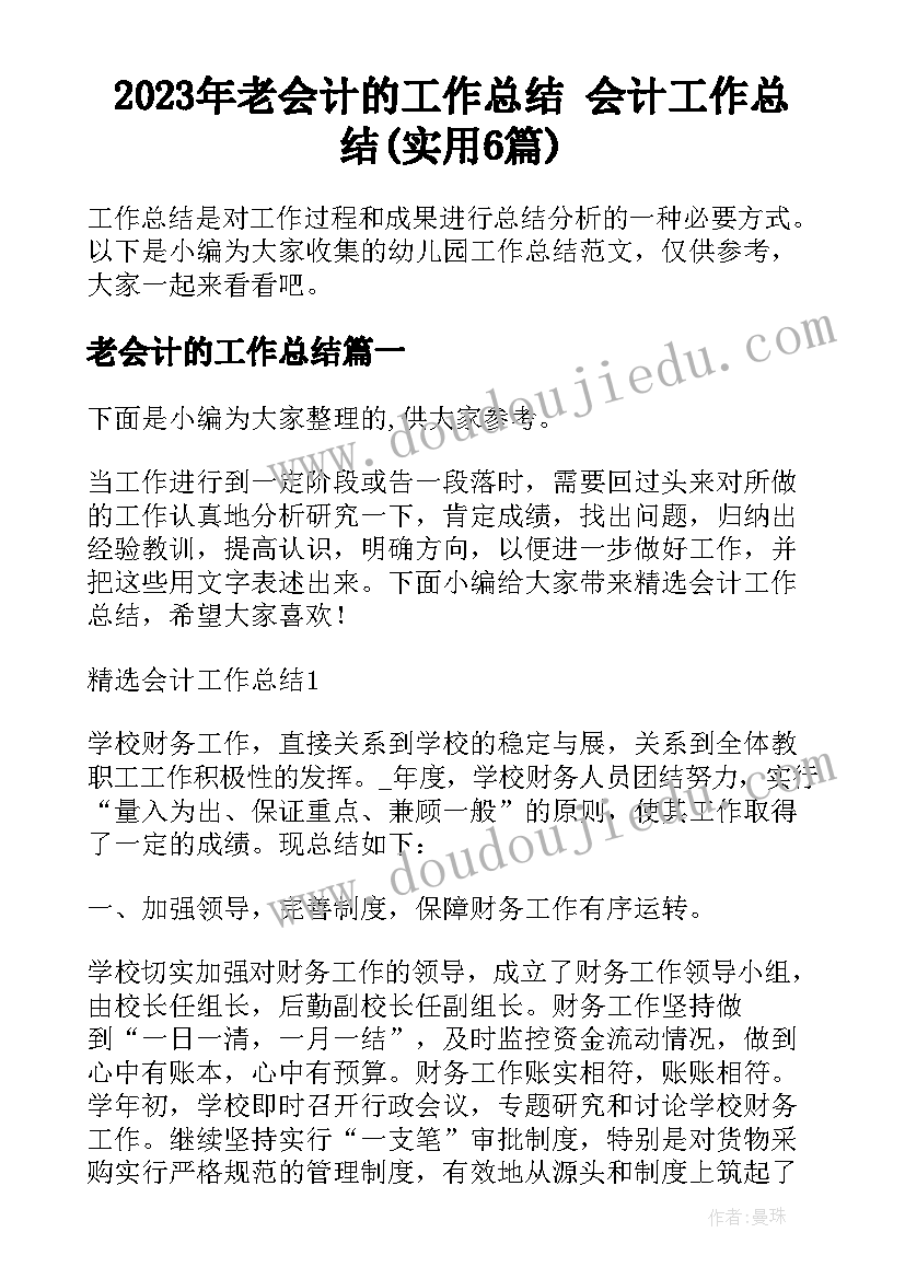 2023年老会计的工作总结 会计工作总结(实用6篇)