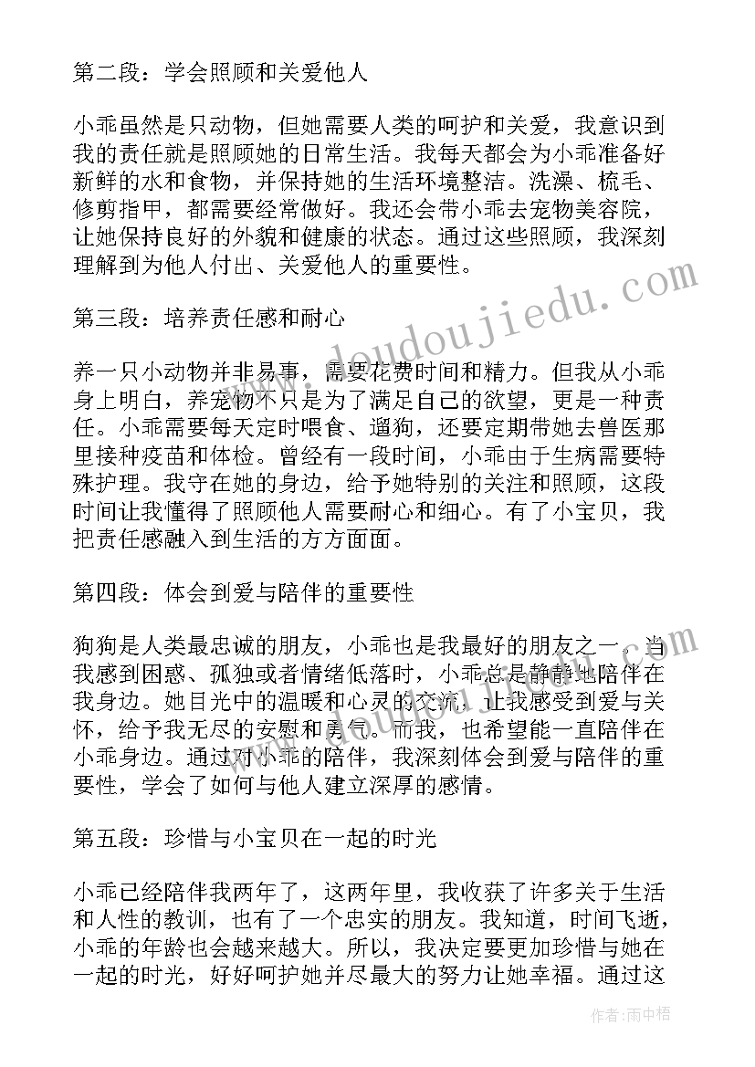 2023年我的宝贝初中 我的小宝贝心得体会(实用17篇)