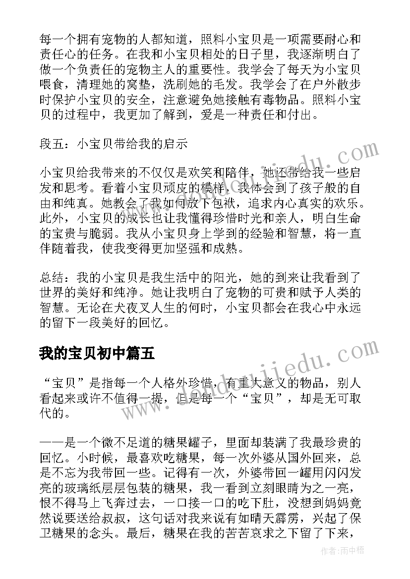 2023年我的宝贝初中 我的小宝贝心得体会(实用17篇)