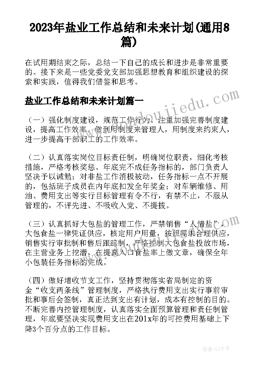 2023年盐业工作总结和未来计划(通用8篇)