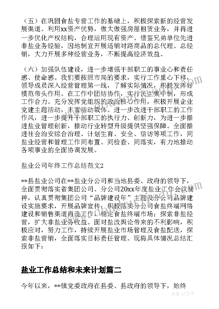 2023年盐业工作总结和未来计划(通用8篇)