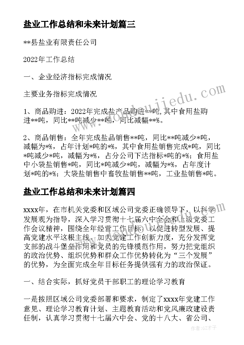 2023年盐业工作总结和未来计划(通用8篇)