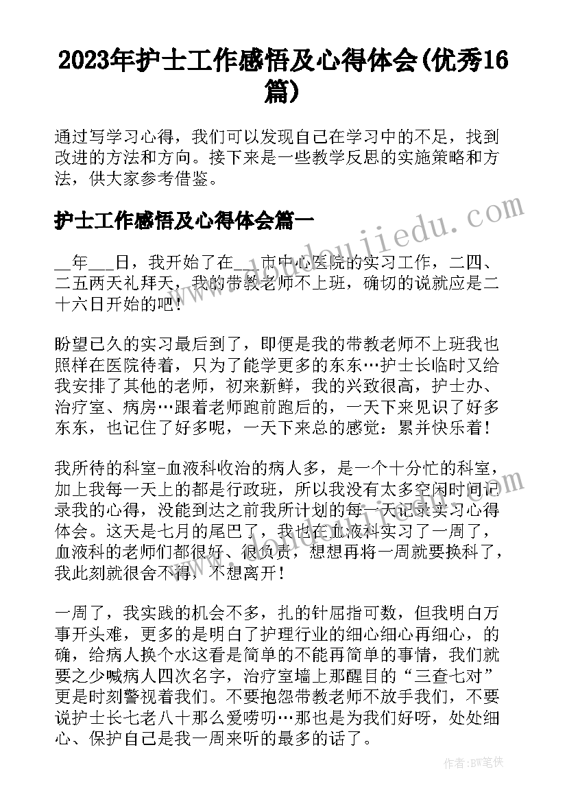 2023年护士工作感悟及心得体会(优秀16篇)