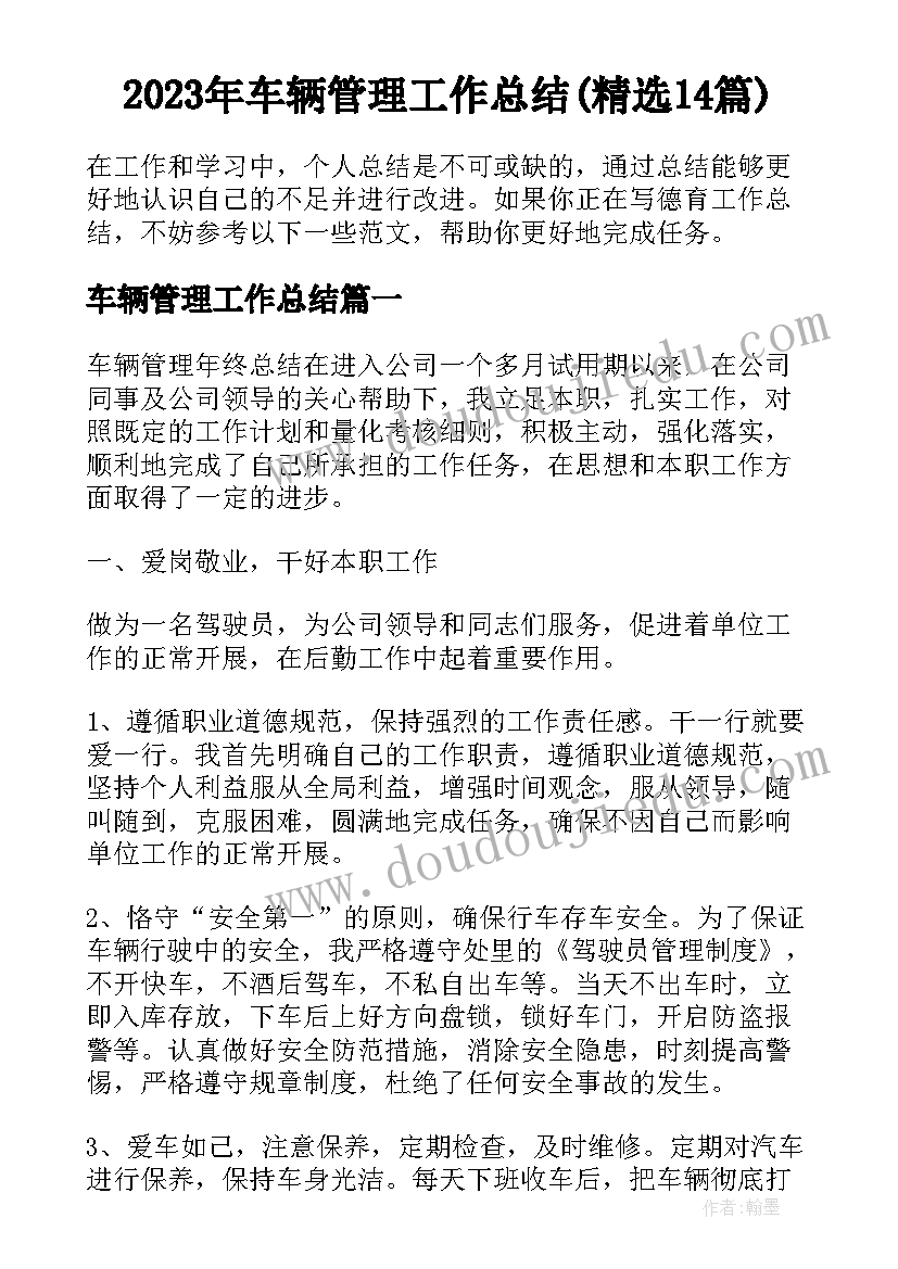 2023年车辆管理工作总结(精选14篇)