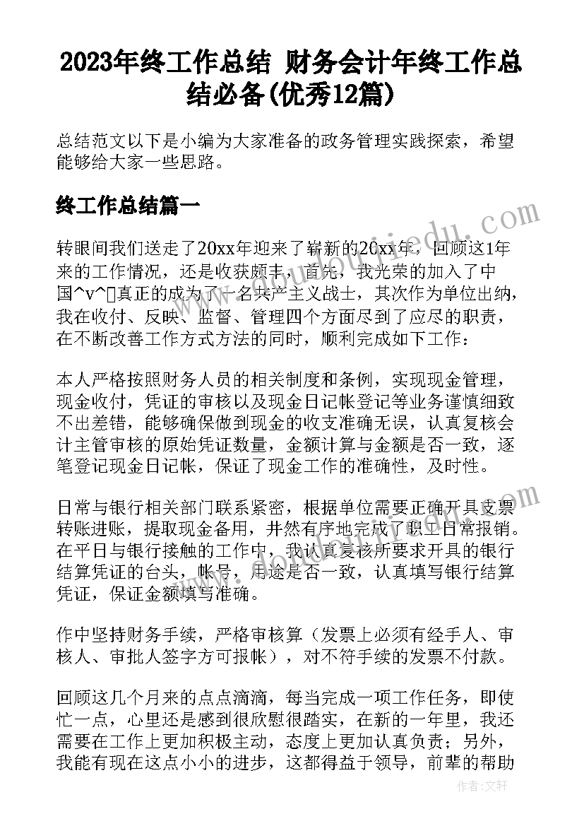 2023年终工作总结 财务会计年终工作总结必备(优秀12篇)