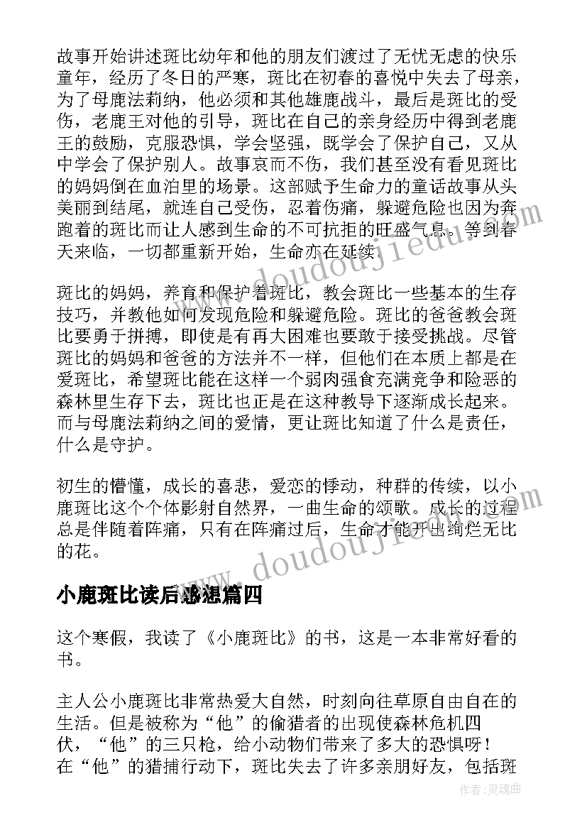 2023年小鹿斑比读后感想(实用13篇)