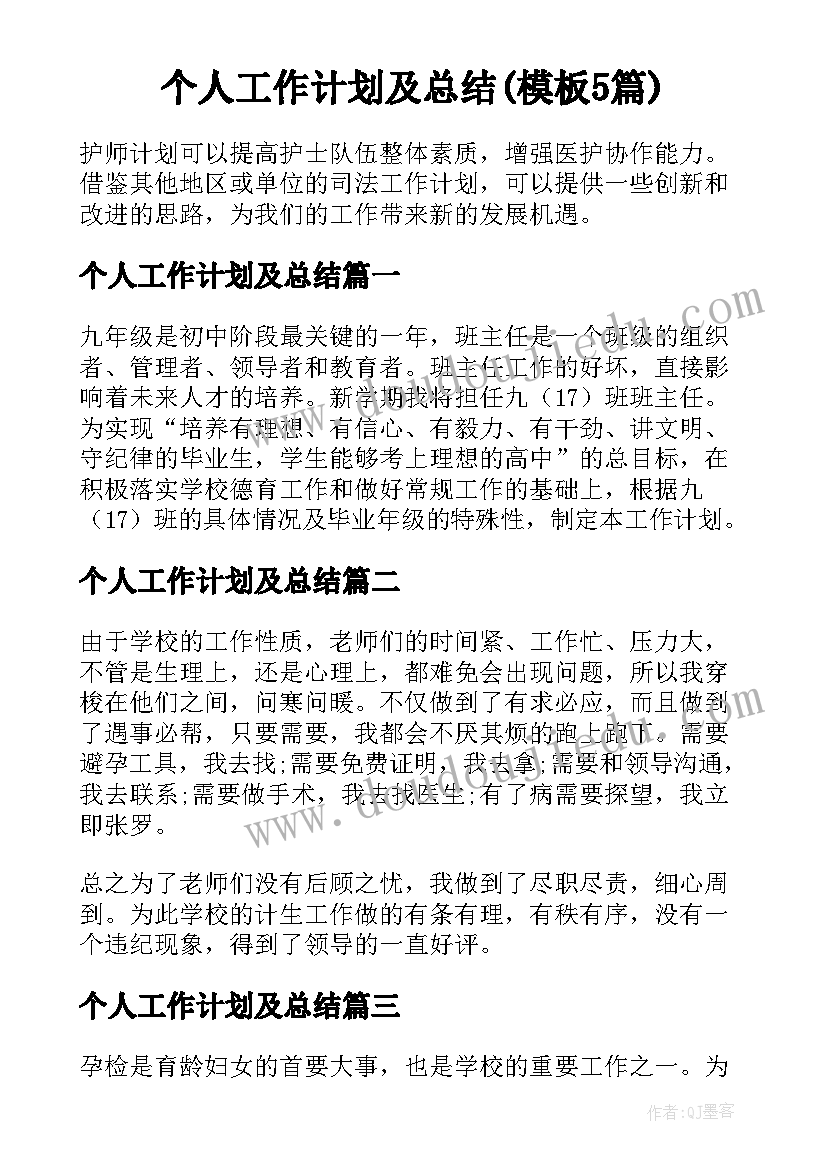 个人工作计划及总结(模板5篇)