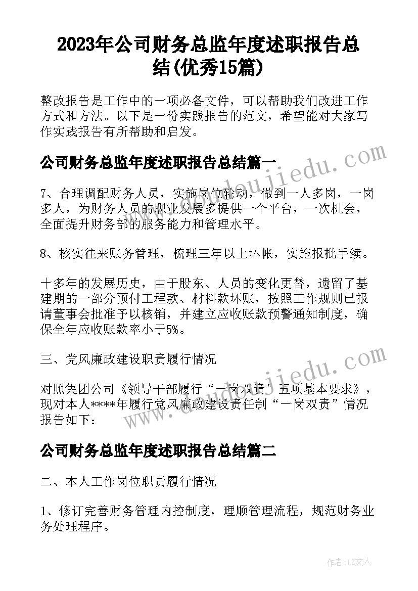 2023年公司财务总监年度述职报告总结(优秀15篇)