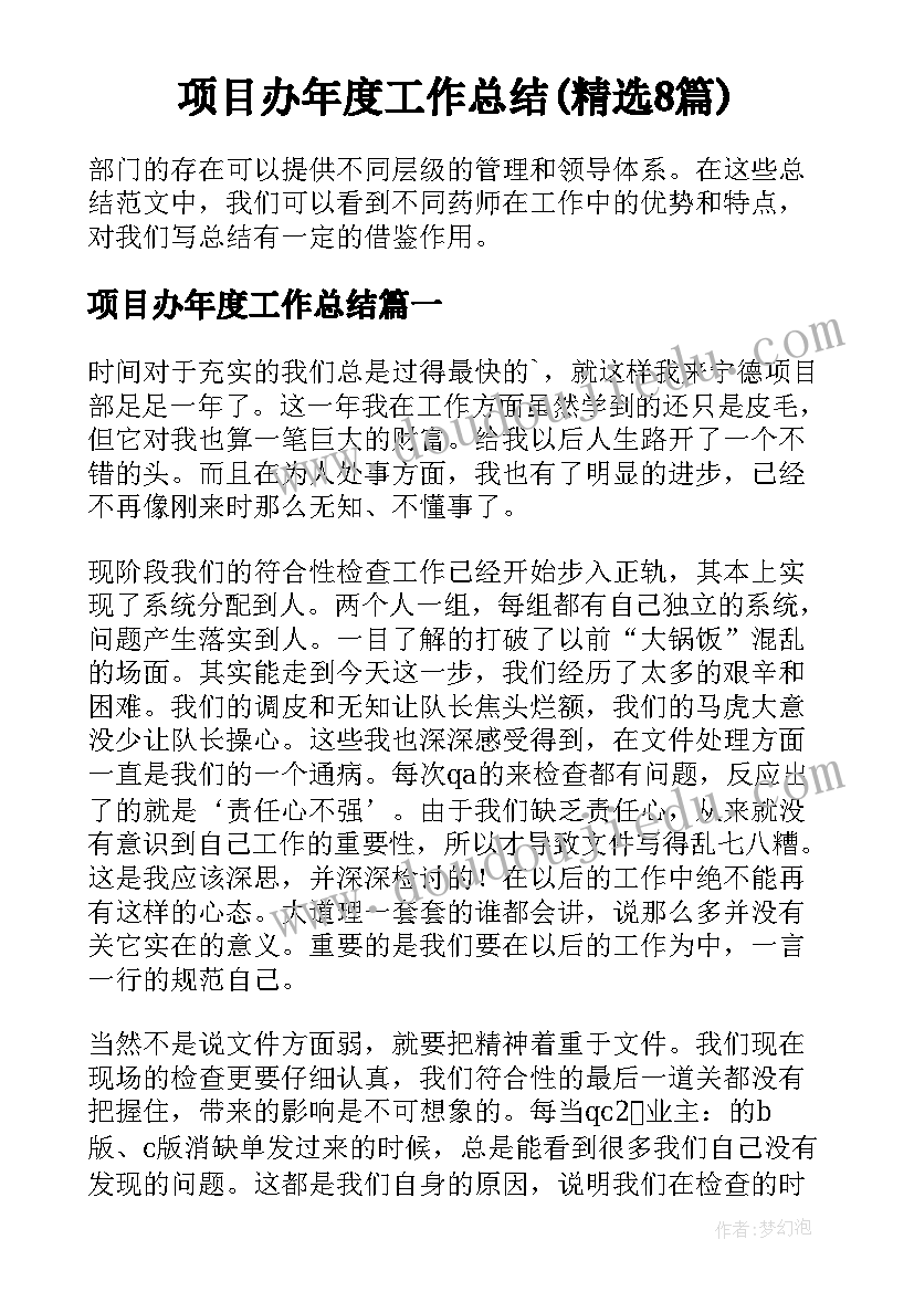 项目办年度工作总结(精选8篇)