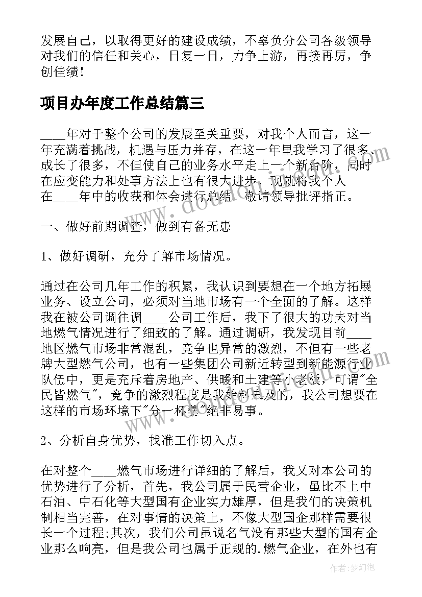 项目办年度工作总结(精选8篇)