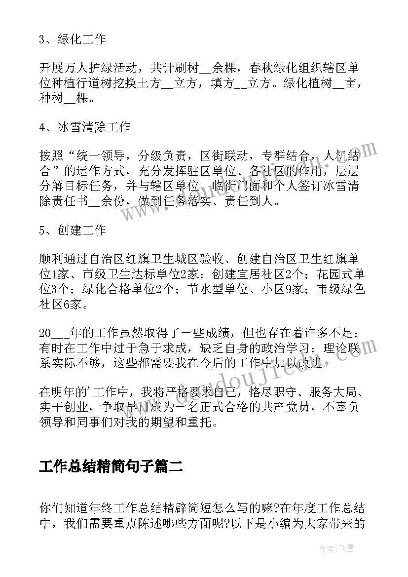 2023年工作总结精简句子(实用19篇)