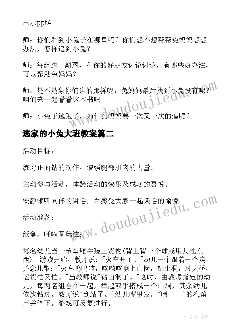 2023年逃家的小兔大班教案(精选8篇)