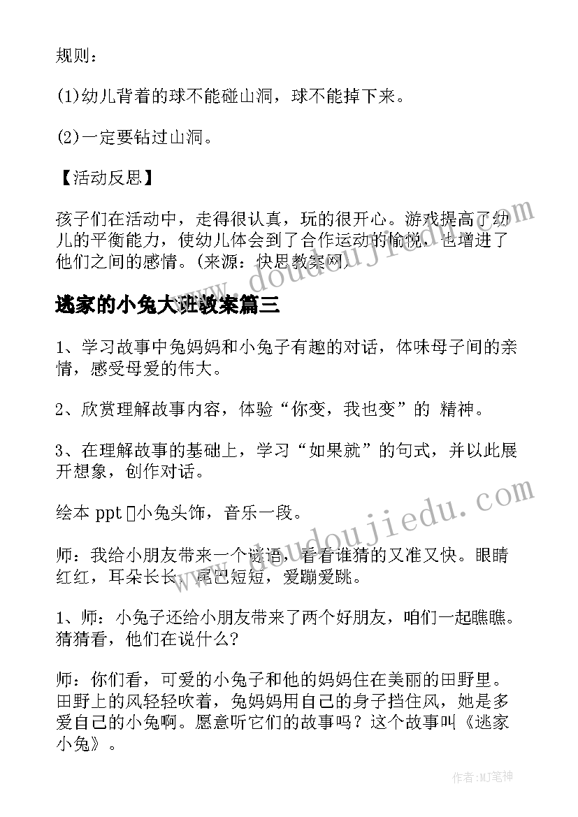 2023年逃家的小兔大班教案(精选8篇)