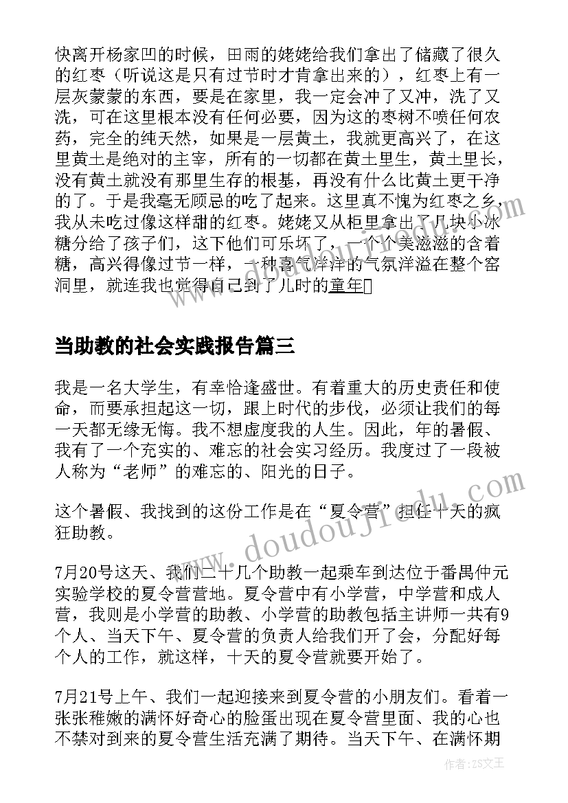 2023年当助教的社会实践报告(大全8篇)