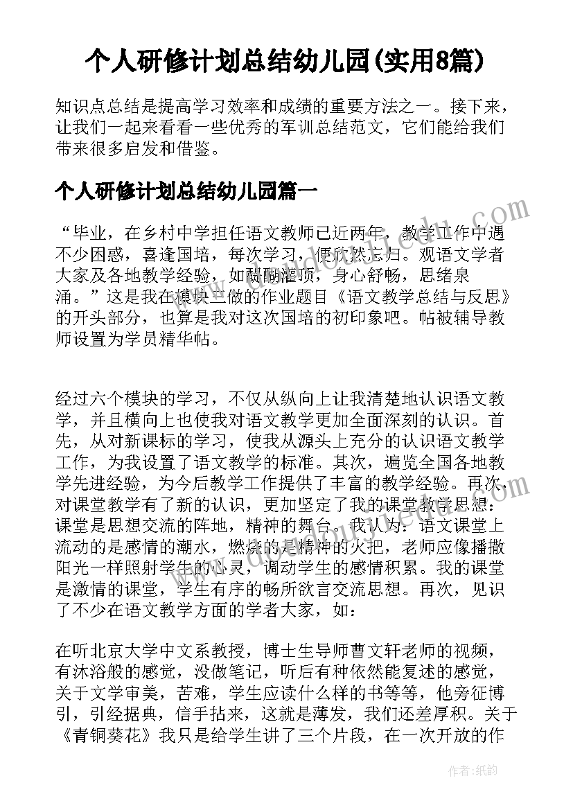 个人研修计划总结幼儿园(实用8篇)