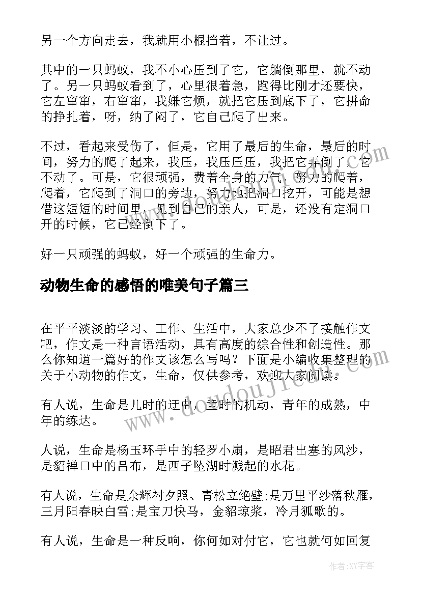 2023年动物生命的感悟的唯美句子(模板9篇)