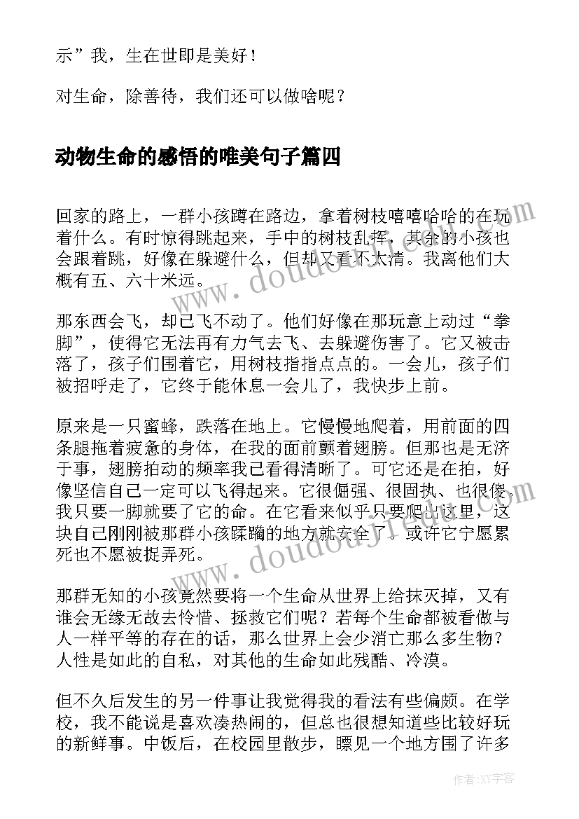 2023年动物生命的感悟的唯美句子(模板9篇)