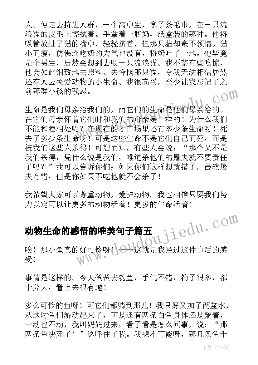 2023年动物生命的感悟的唯美句子(模板9篇)