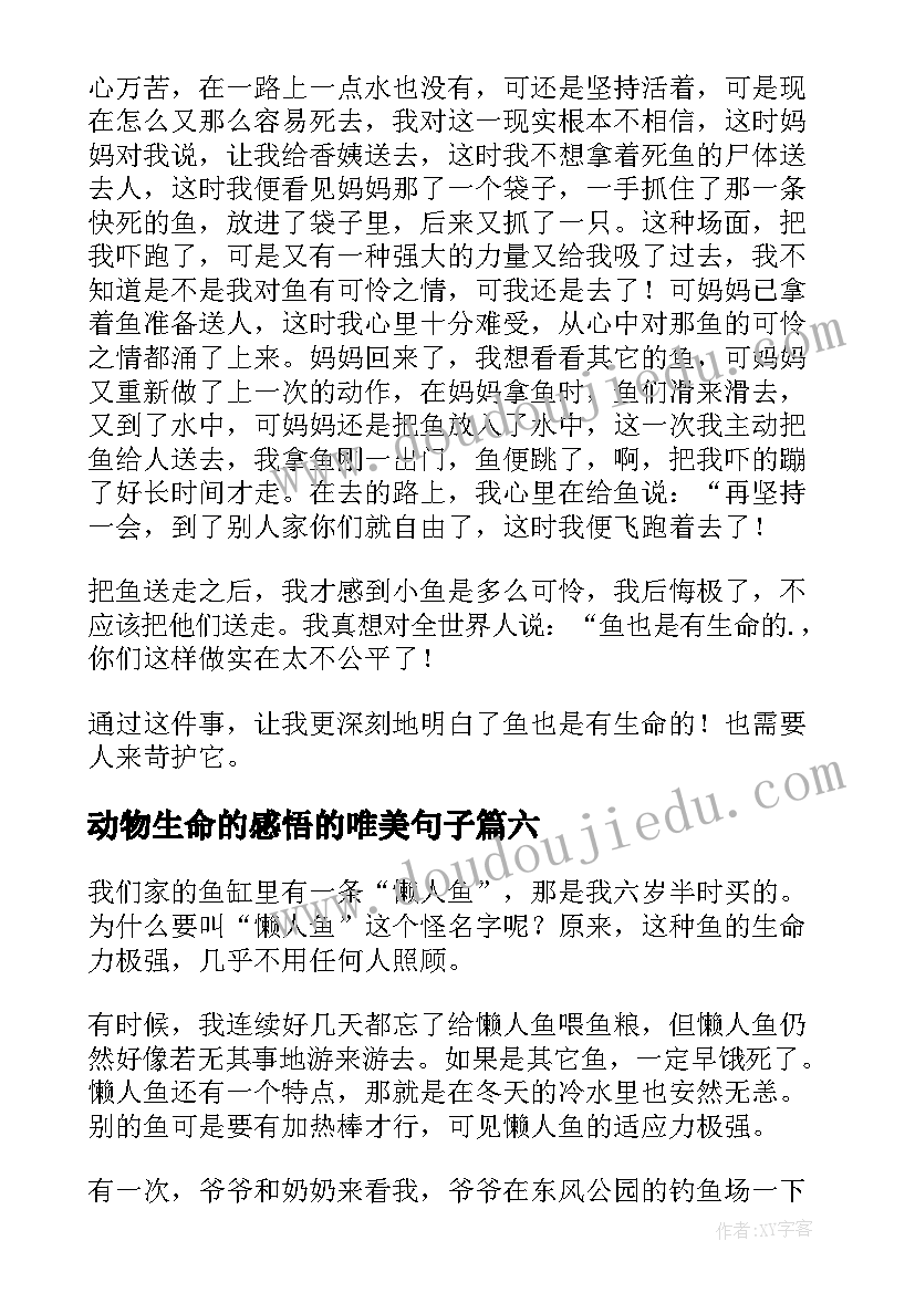 2023年动物生命的感悟的唯美句子(模板9篇)