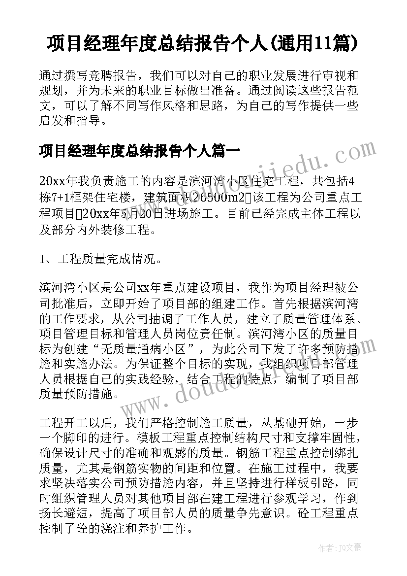 项目经理年度总结报告个人(通用11篇)