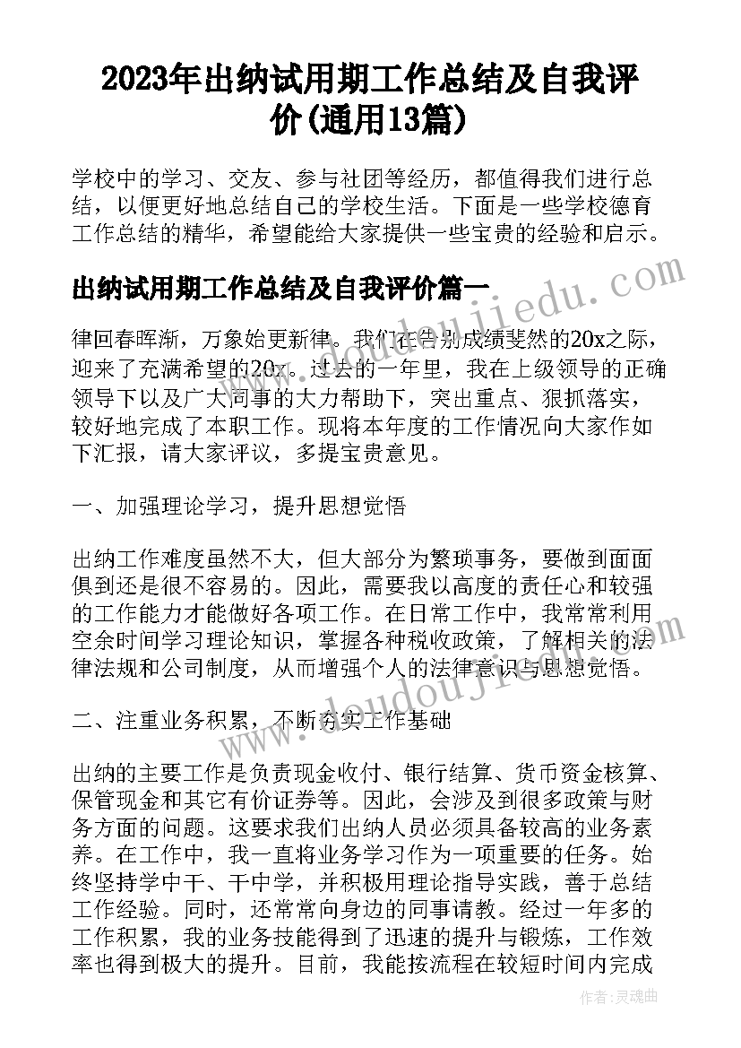 2023年出纳试用期工作总结及自我评价(通用13篇)