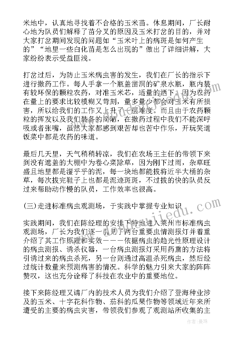 2023年小学暑期实践活动发言稿 小学生暑期社会实践活动(模板15篇)