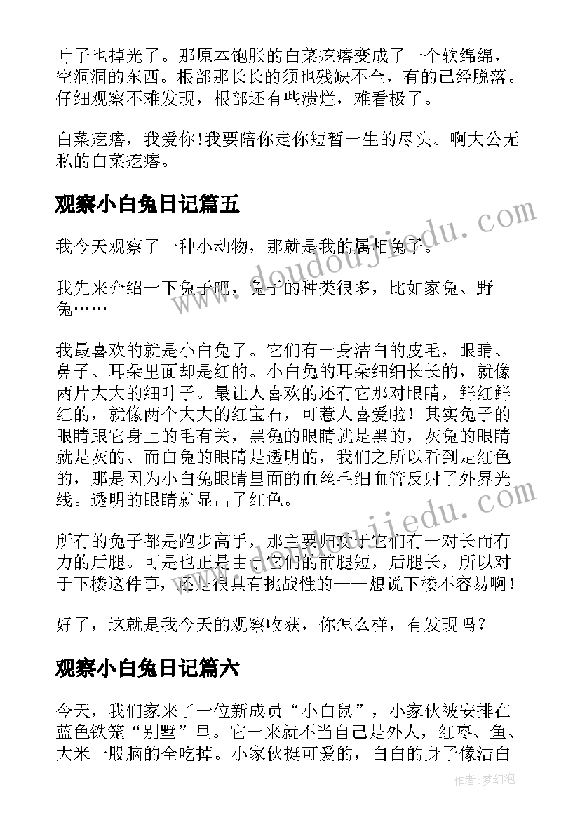 观察小白兔日记(实用17篇)