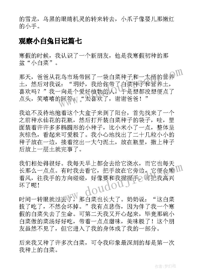 观察小白兔日记(实用17篇)