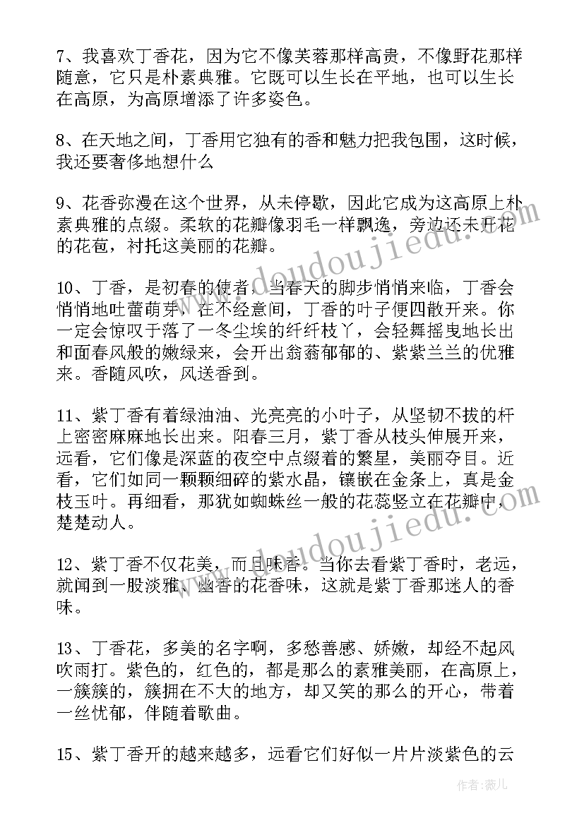 2023年花的好句好段摘抄(大全6篇)