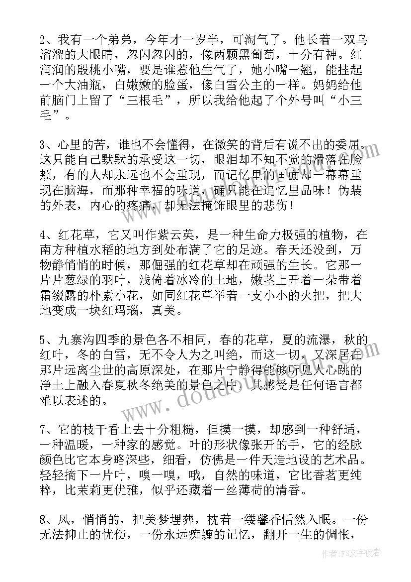 2023年四年级好句摘抄 四年级小学生好句(模板19篇)