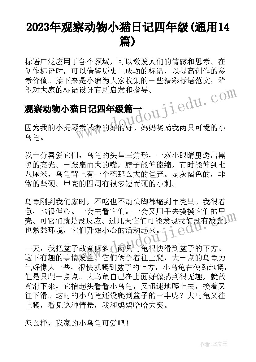 2023年观察动物小猫日记四年级(通用14篇)